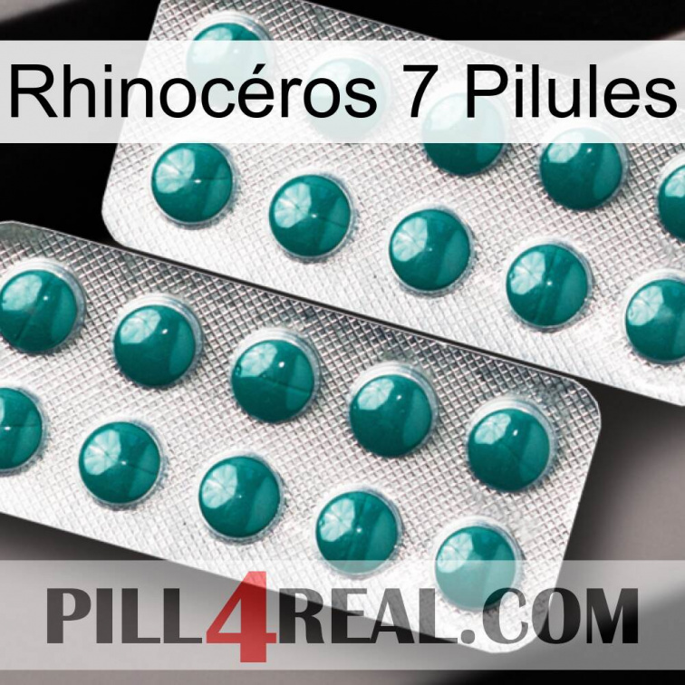 Rhinocéros 7 Pilules dapoxetine2